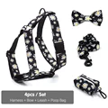Harness 4pcs Set