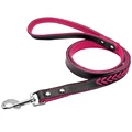 Hot Pink Leash 