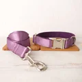 Dog Collar Leash Set