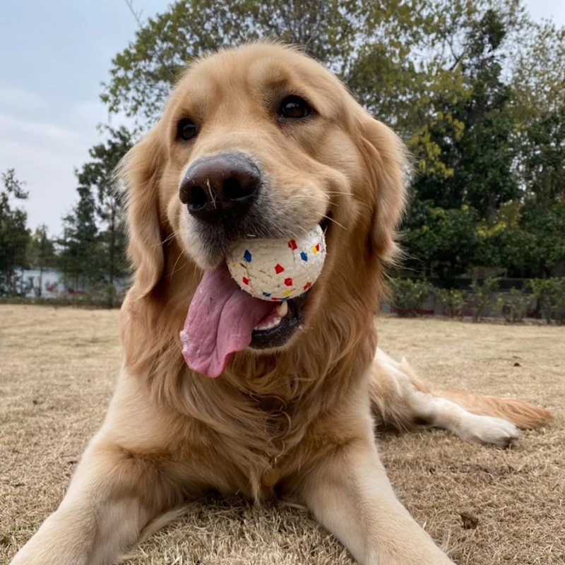 Pelota de goma ligera para masticar para perros, juguete interactivo de alta resistencia a las mordeduras, accesorios para mascotas - imagen 5