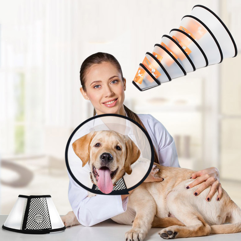 Protector lamer XLeiPet - vista principal