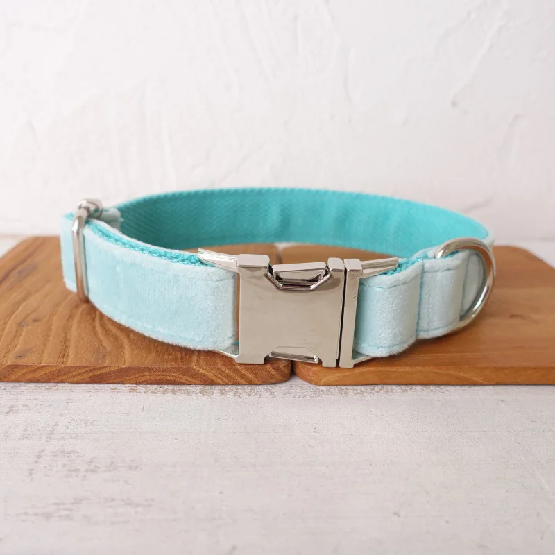 Dog Collar