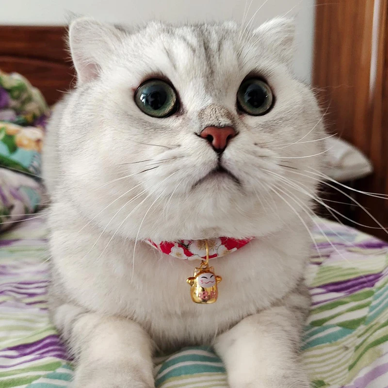 6 Color de estilo japonés gato collar campana collar de dibujos animados mascotas accesorios para Gatos productos para mascotas suministros Gatos collier chat - imagen 3