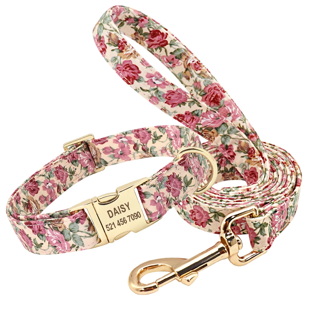 Beige collar leash