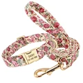 Beige collar leash