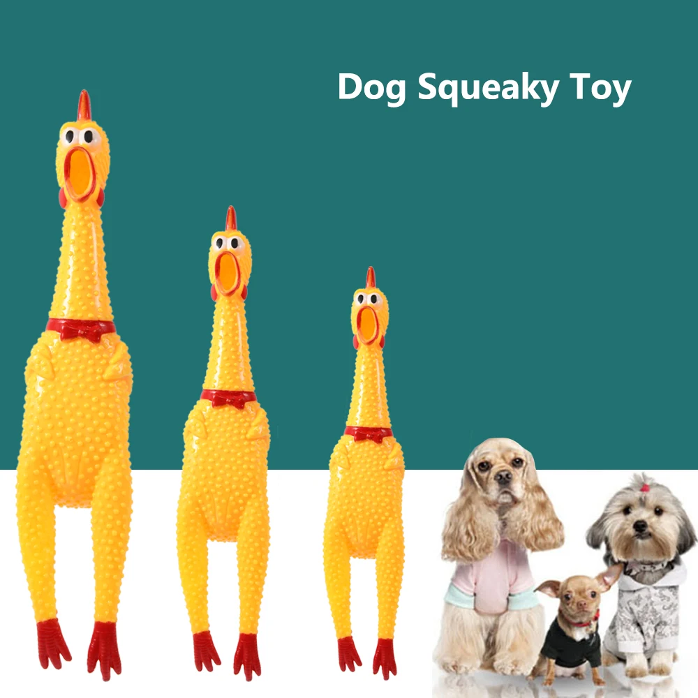 Snailhouse-pollo chillón para mascotas, juguete de goma de seguridad para perros, juguetes para morder, 2021 - imagen 3