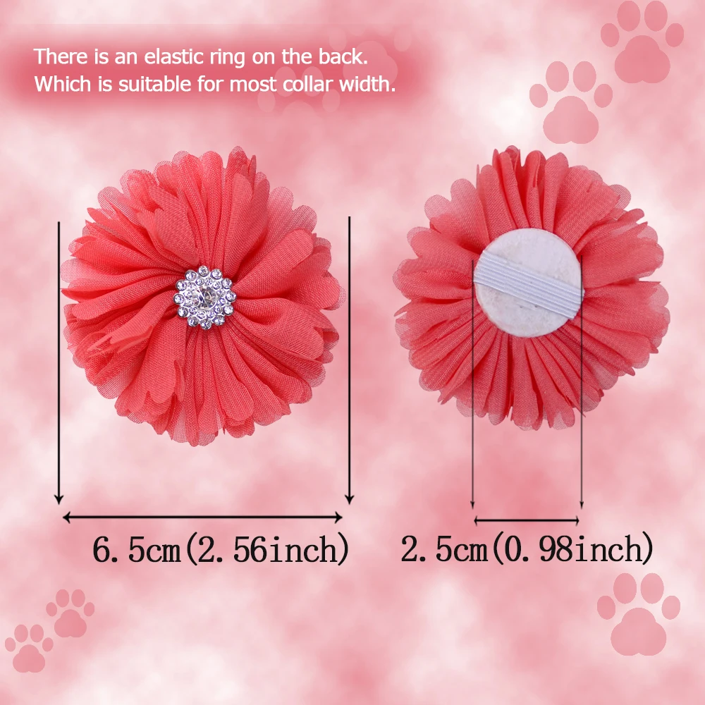 Pajaritas florales de primavera para perros pequeños - imagen 3
