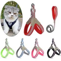 Set arnés y correa para gatos y perros pequeños