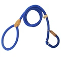 Blue-Pet leash