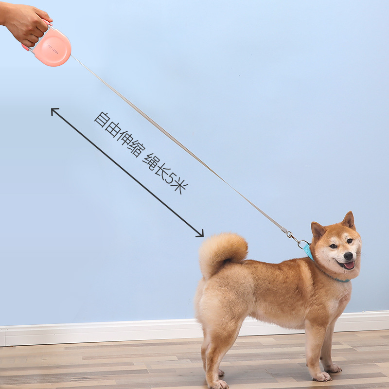 Sistema retráctil para perros con cuerda de entrenamiento y 4 colores disponibles