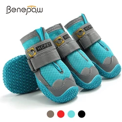 Botas protectoras para perros – Ideales para primavera y verano