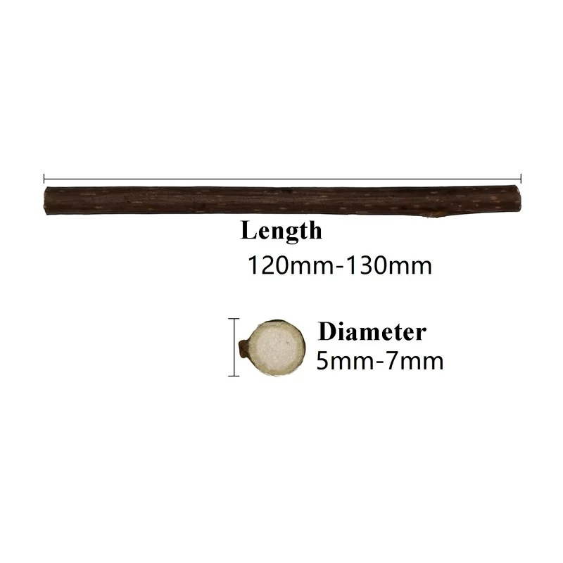 Juguetes de hierba gatera para gatos, productos para mascotas, artículos interesantes para mascotas, accesorios de juguete, jardín de casa, 10/20/100 piezas - imagen 2