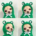 Green Frog
