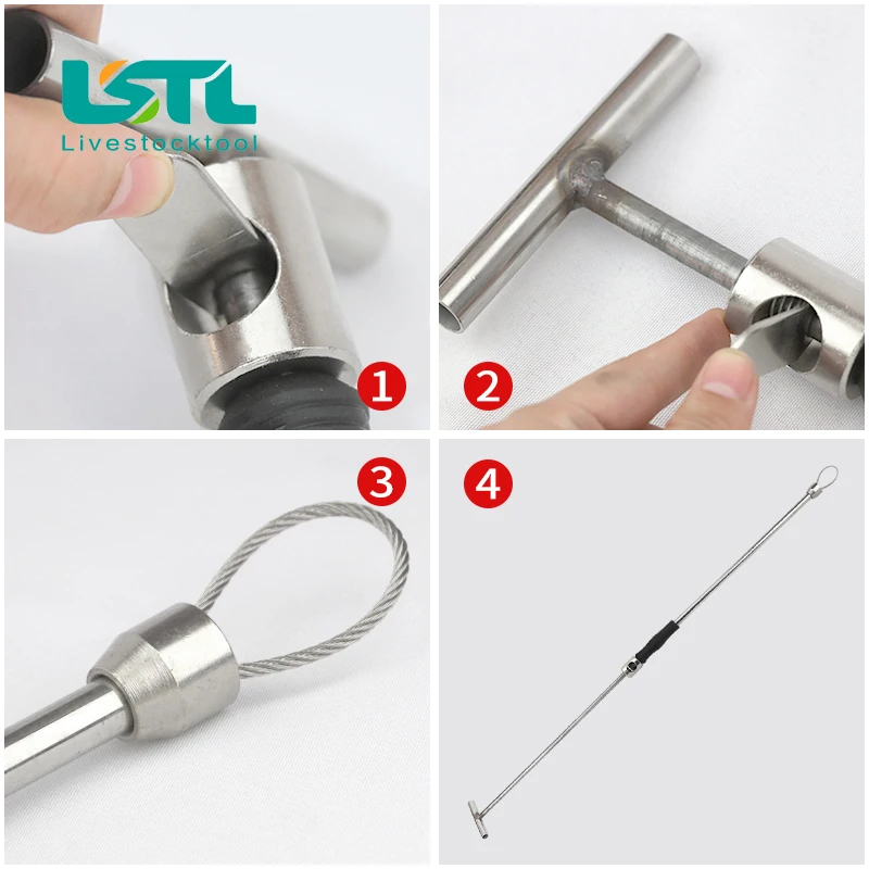 Poste receptor de cerdos de acero inoxidable, dispositivo de Baording, equipo fijo de cría de animales, equipo de cría de animales, D9 - imagen 5