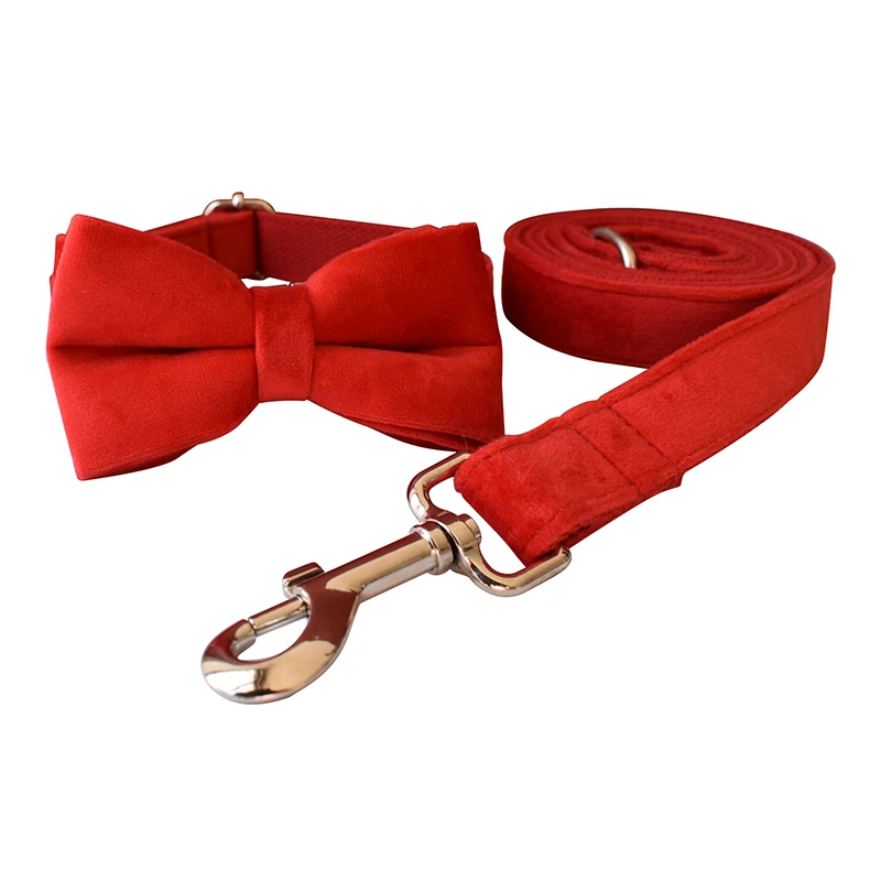 Bow Collar Leash Set