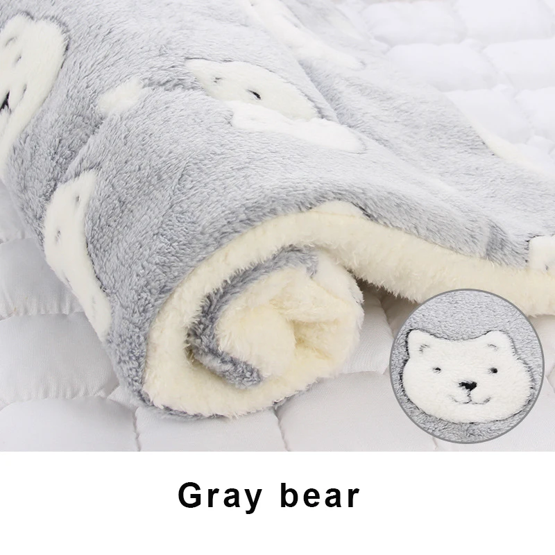 Gray bear