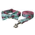 Bow Collar Leash Set