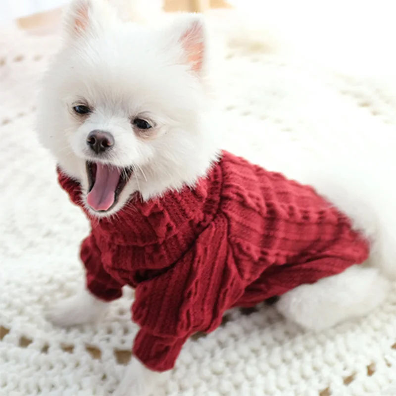 Suéter en uso mostrando perro pequeño con diseño cómodo