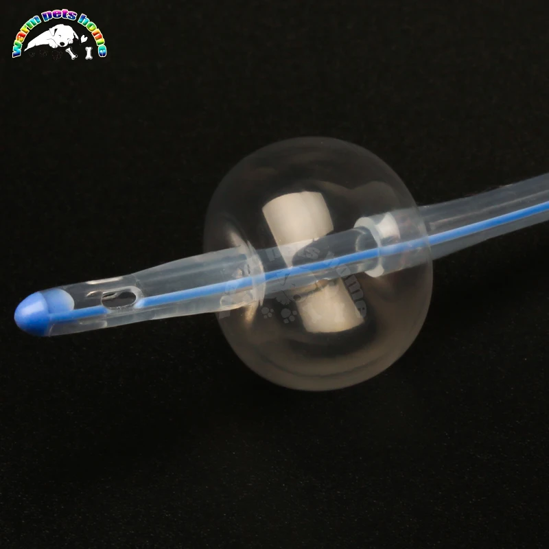 Catéter urinario canino bidireccional Foley con globo, cateteres para perros Foley de 2 vías, cateteres de orina de silicona, instrumento veterinario - imagen 4