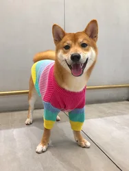 Suéter para perros y gatos de punto arcoíris – ropa de invierno