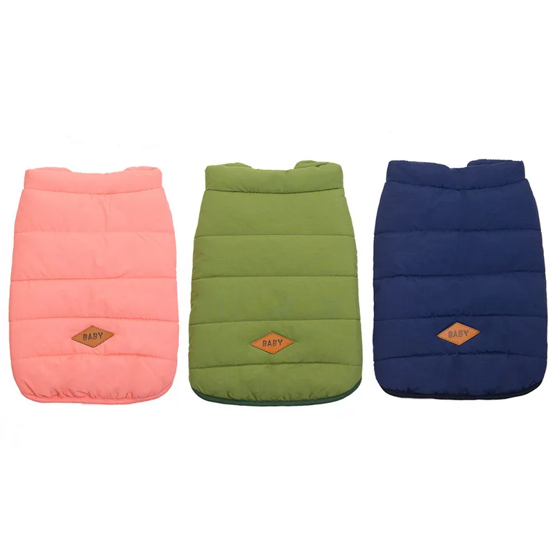 Ropa cachorros Pug - Perro modelo usando ropa