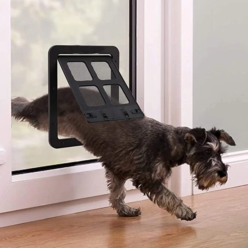 Rampas y puertas para perro