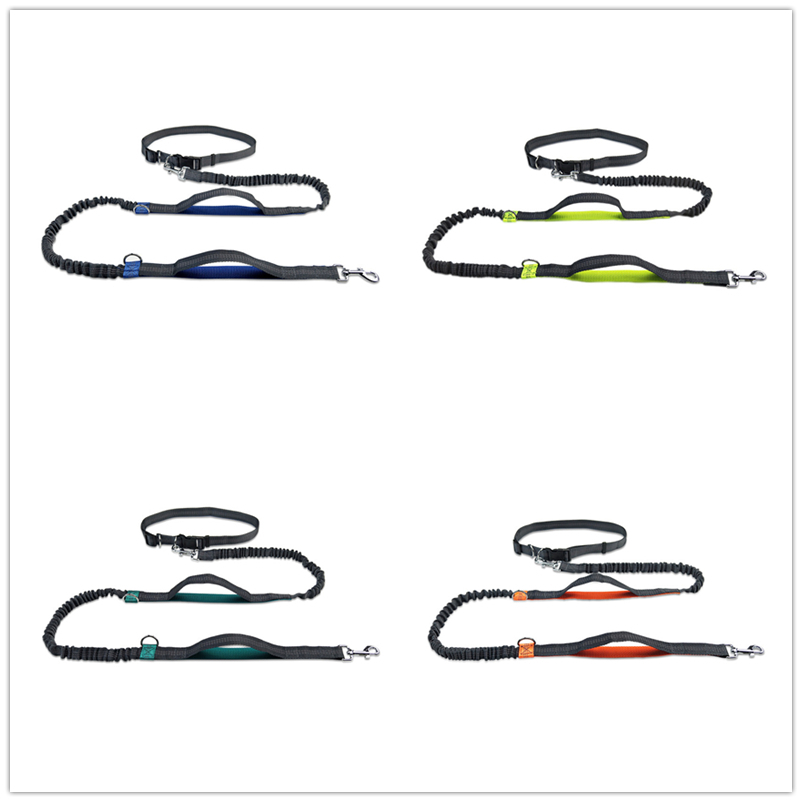 Sistema elástico dual de la correa para perros