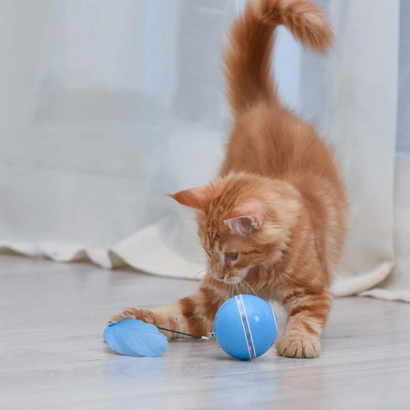 Nueva luz Led, juguete para gatos, pluma, bola inteligente interactiva electrónica, productos para mascotas, accesorios para gatos, juguetes, productos interesantes - imagen 5