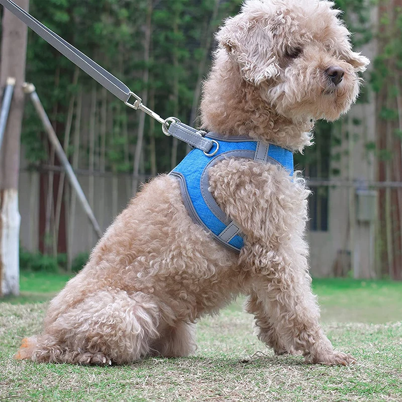 Benepaw-arnés suave para perros pequeños y medianos, conjunto de correa reflectante y cómodo, chaleco para mascotas, con asa acolchada, fácil de caminar - imagen 2