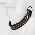 brown dog collar
