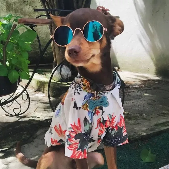 Monos cachorros - Detalle material suave