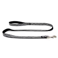 Gray Stripe Leash