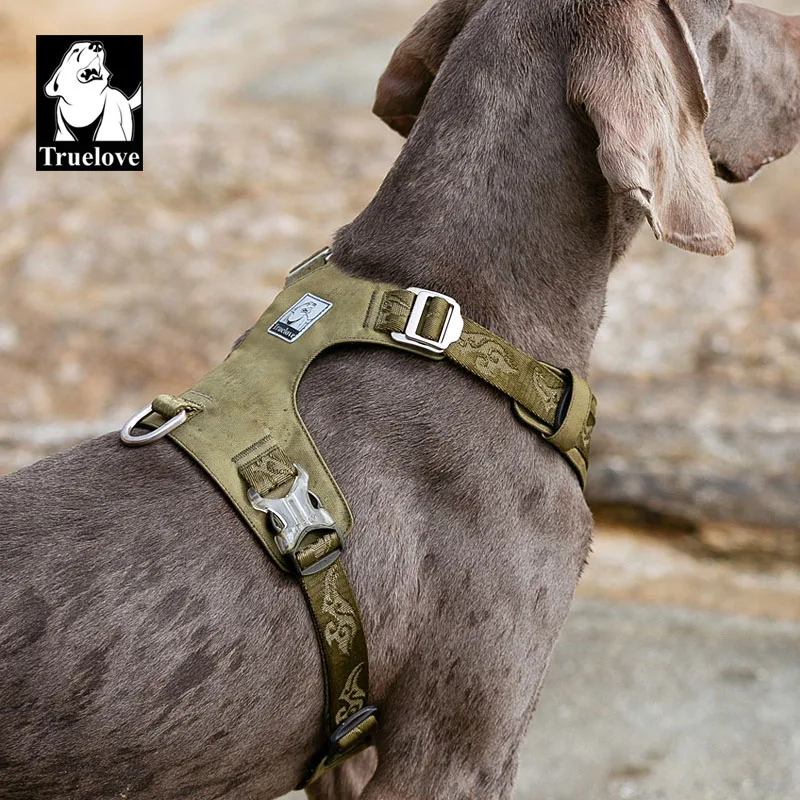 green dog harness