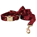 Bow Collar Leash Set