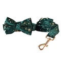 Bow Collar Leash Set