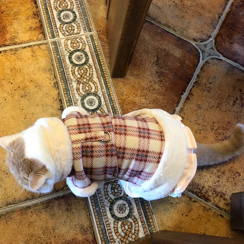 Chaqueta con arnés de lujo para gatos con hebilla, ropa cálida de invierno para mascotas, Gatos, Katten, Kedi, abrigo para perros, disfraz de mascotas - imagen 3