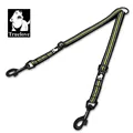 yellow dog leash