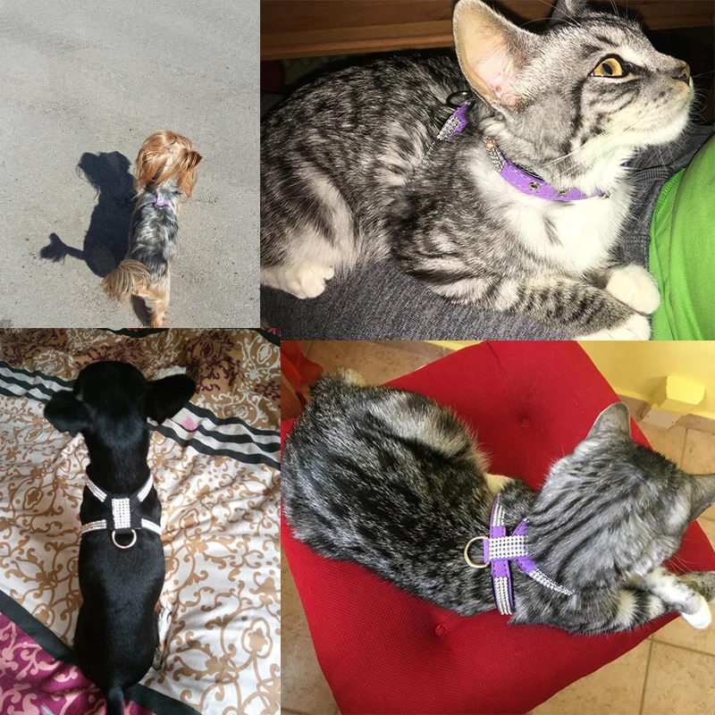 Arnés de lujo con diamantes de imitación para perros pequeños y medianos, arnés ajustable de cuero suave para mascotas con diamante York Chihuahua - imagen 3