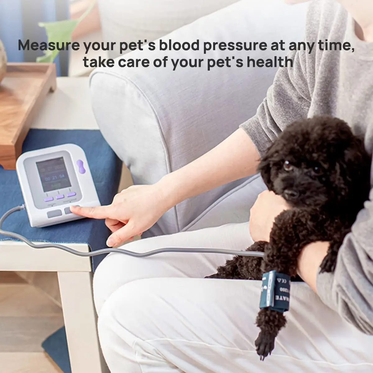 Tensiómetro y saturómetro para perros y gatos – Control de presión y oxígeno - imagen 2
