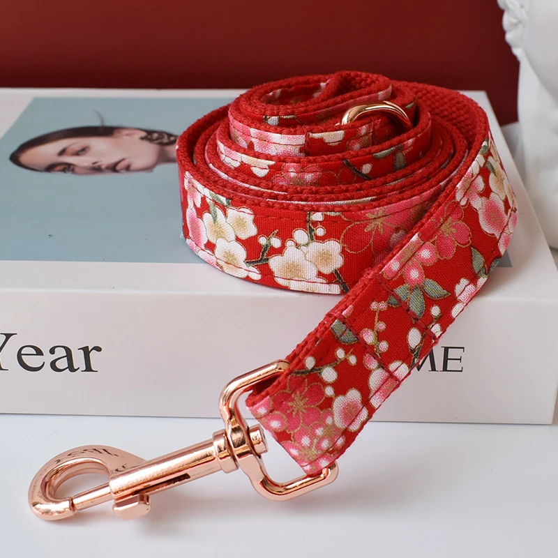 Collar personalizado perro bulldog con lazo y correa grabada - imagen 2