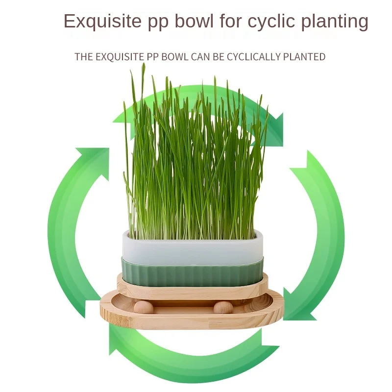 Maceta de hierba de trigo para gato, juguete con bola giratoria, muebles, tablero para rascar, garra de gato, juguete de Sisal, 2 en 1, 2 capas - imagen 3