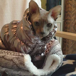 Abrigo de plumón para gatos y perros – Cálido para invierno
