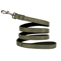 Green Leash