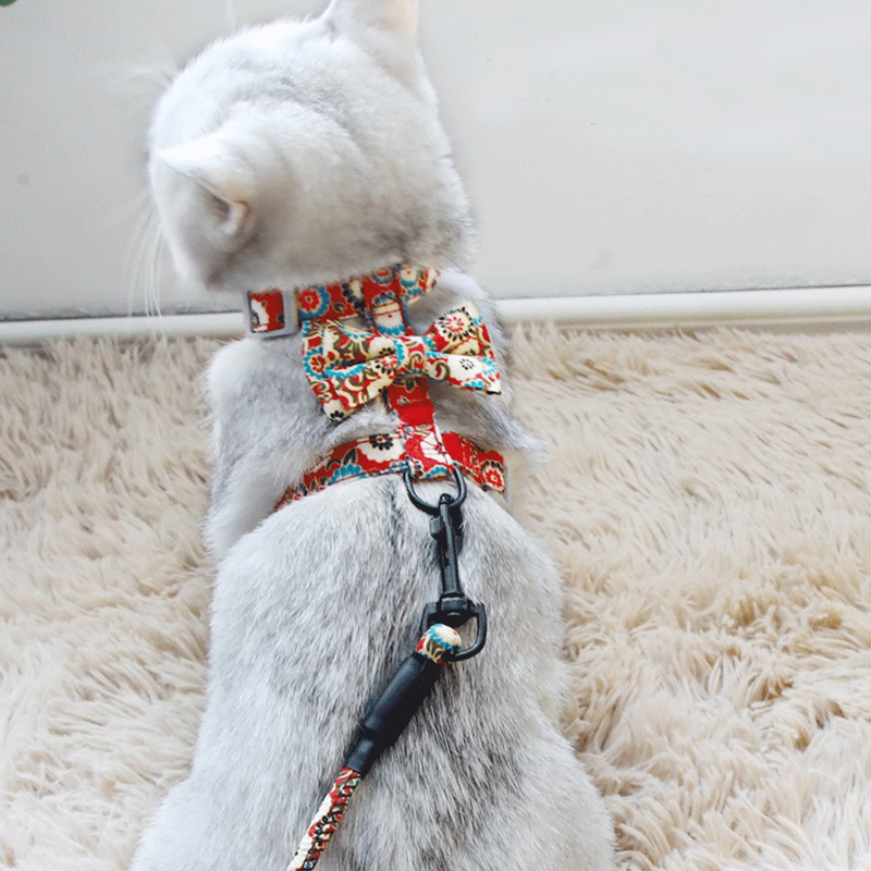 Accesorios arneses kedi mascota harnais chat seguridad
