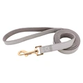 gray leash
