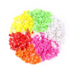 Anillos de pierna para aves con clip – canarios y loros