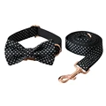 Bow Collar Leash Set