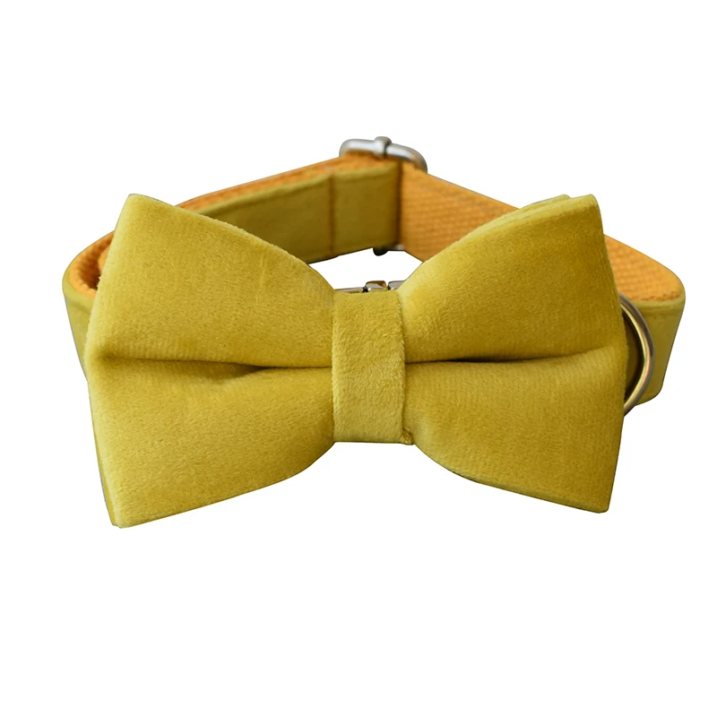 Bow Collar