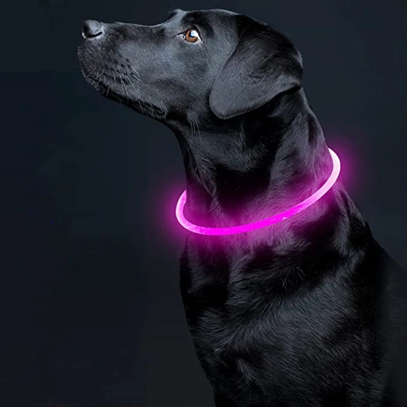 Collares Led recargables por Usb para perros, Collar luminoso para mascotas, seguridad nocturna, brillo intermitente, Collar de prevención de pérdida, accesorios para mascotas - imagen 3