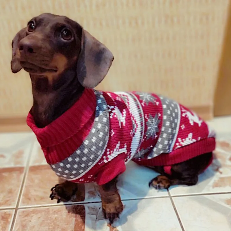 Lindo suéter perros pequeños ropa cálida invierno - vista principal